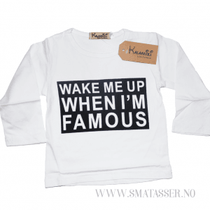 Wake me up when Im famous - sett