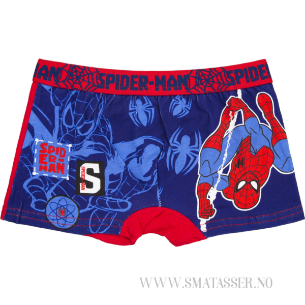 Spiderman boxer