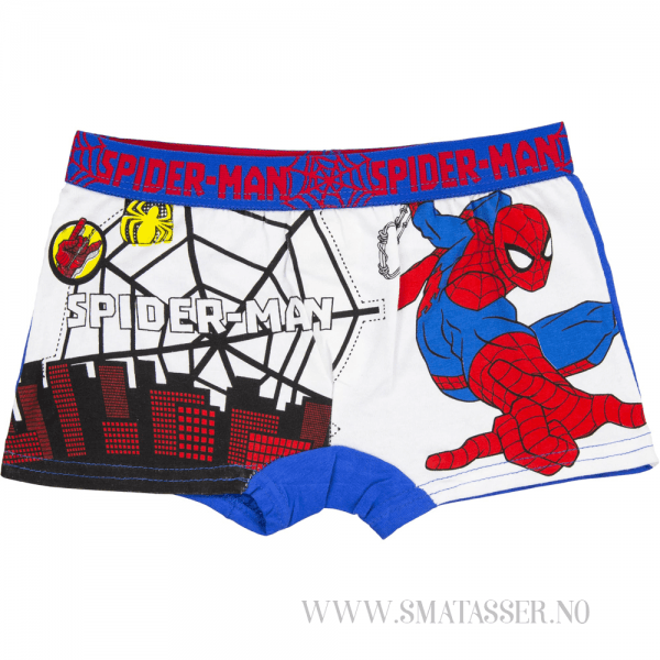 Spiderman boxer